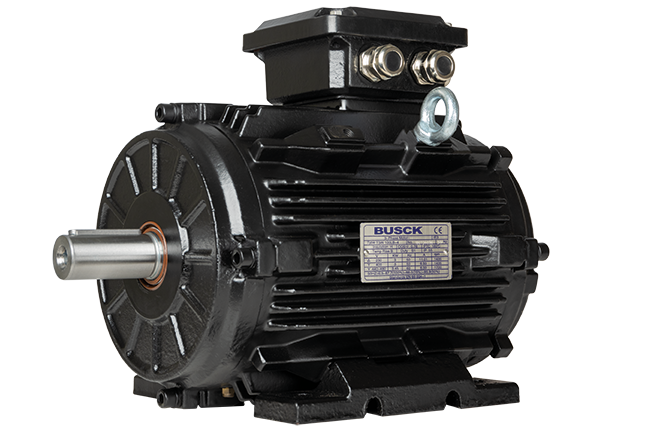 electric motor for a lumber dryer