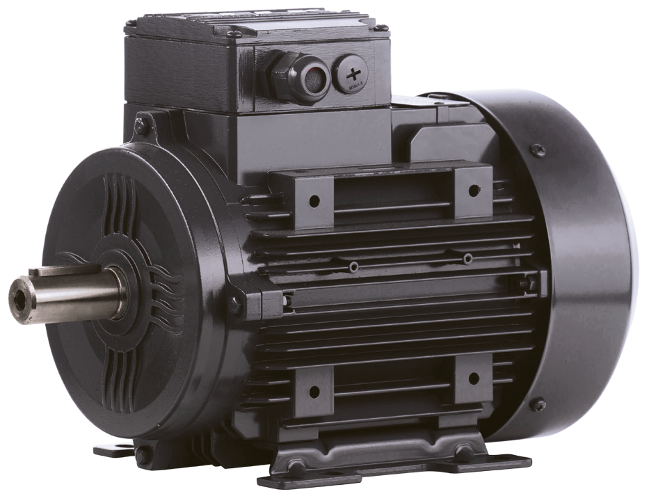 electric motor